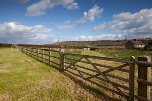 Paddock- click for photo gallery